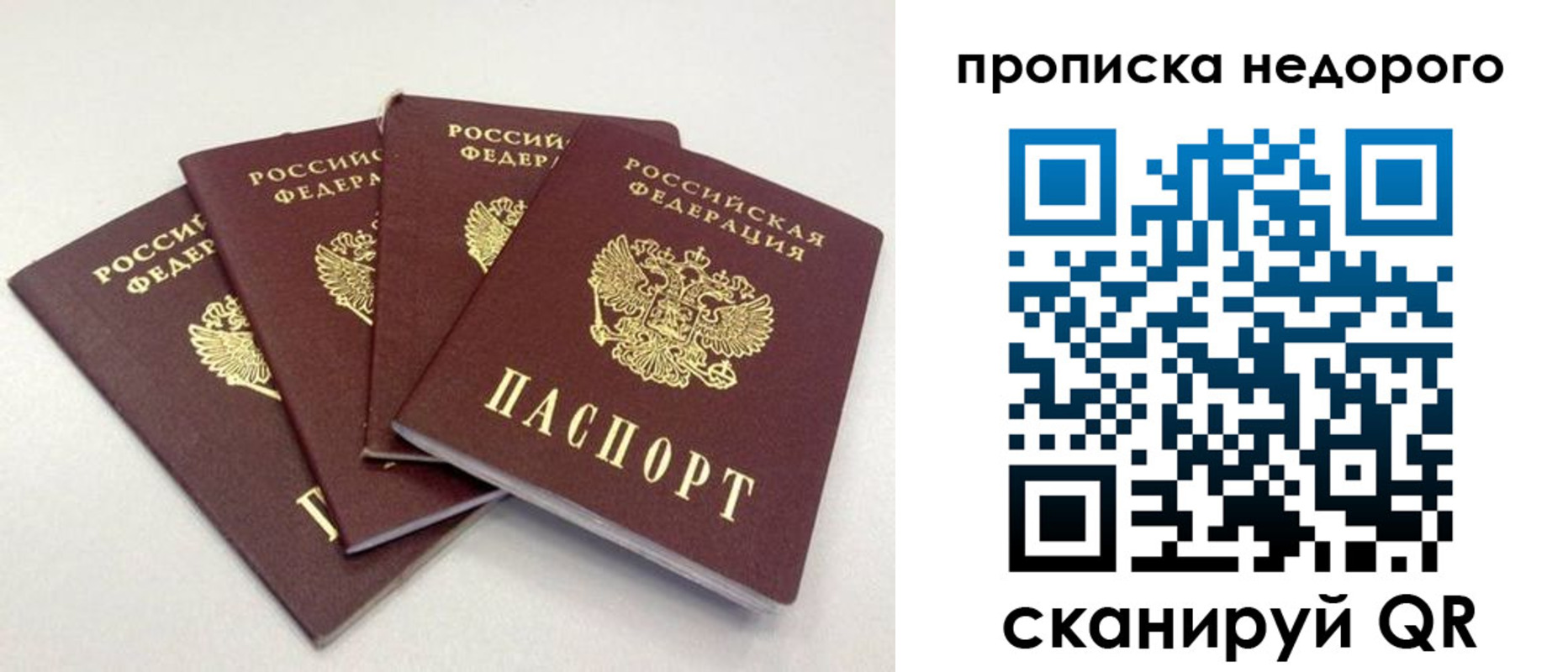 прописка законно в Чкаловске